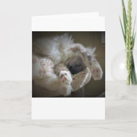 低速日、カード カード (正面)