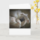 低速日、カード カード (黄色い花)