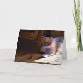 低速日、カード カード