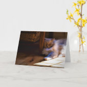 低速日、カード カード (黄色い花)