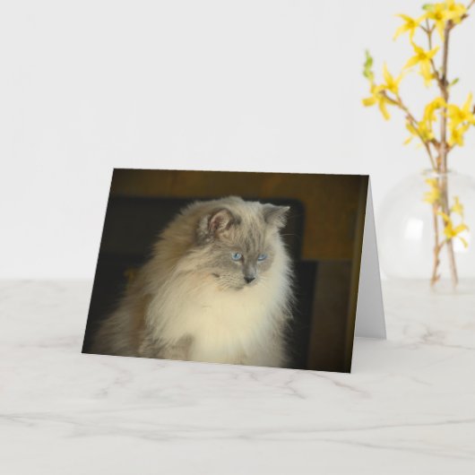 低速日、カード カード (黄色い花)