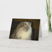 低速日、カード カード (正面)