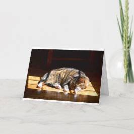 低速日、カード カード