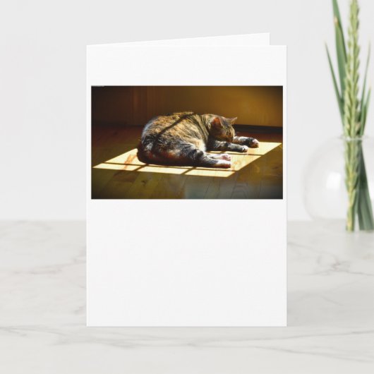 低速日、カード カード (正面)