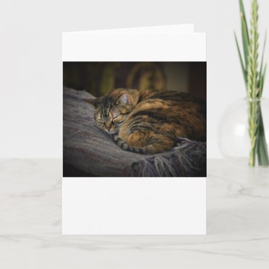 低速日、カード カード (正面)