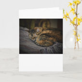 低速日、カード カード (黄色い花)