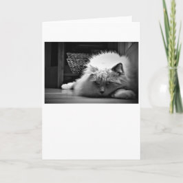 低速日、カード カード