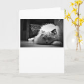 低速日、カード カード (黄色い花)