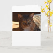 低速日、カード カード (黄色い花)