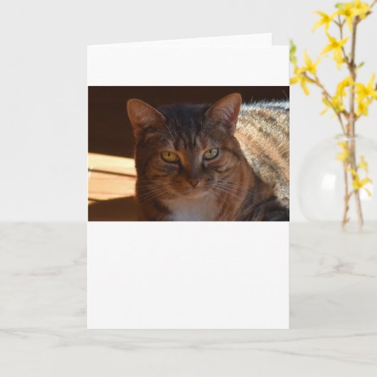 低速日、カード カード (黄色い花)