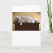 低速日、カード カード (正面)