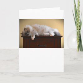 低速日、カード カード