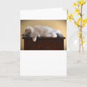 低速日、カード カード (黄色い花)