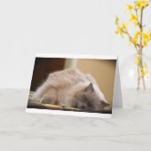 低速日、カード カード (黄色い花)