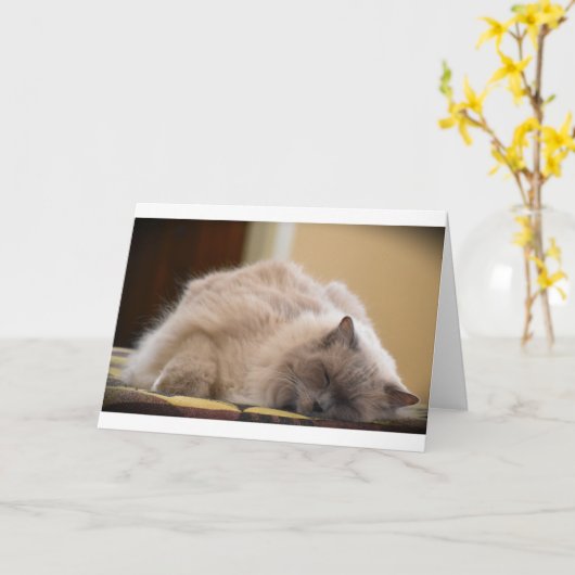 低速日、カード カード (黄色い花)