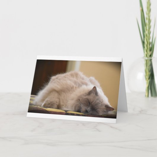 低速日、カード カード (正面)