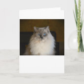 低速日、カード カード (正面)