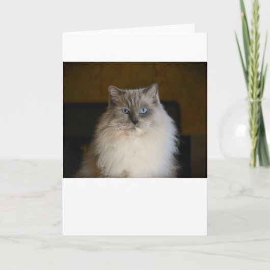 低速日、カード カード (正面)