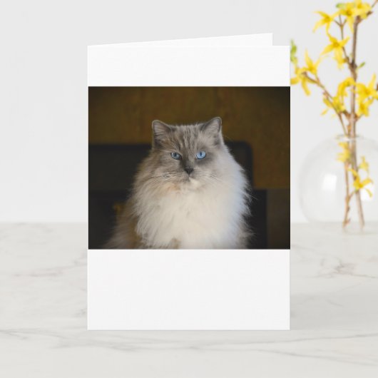 低速日、カード カード (黄色い花)