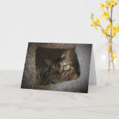 低速日、カード カード (黄色い花)