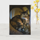 低速日、カード カード (黄色い花)