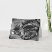 低速日、カード カード (正面)