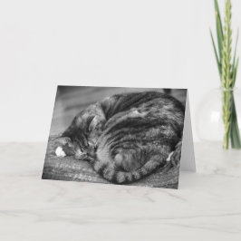 低速日、カード カード