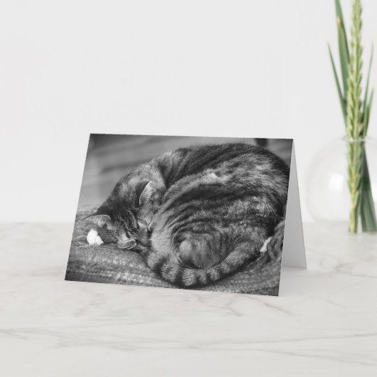 低速日、カード カード (正面)