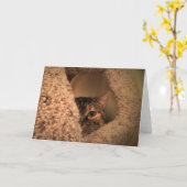 低速日、カード カード (黄色い花)