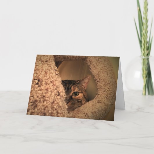 低速日、カード カード (正面)