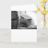 低速日、カード カード (黄色い花)