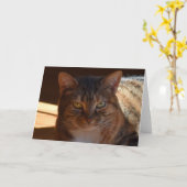 低速日、カード カード (黄色い花)