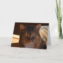 低速日、カード カード