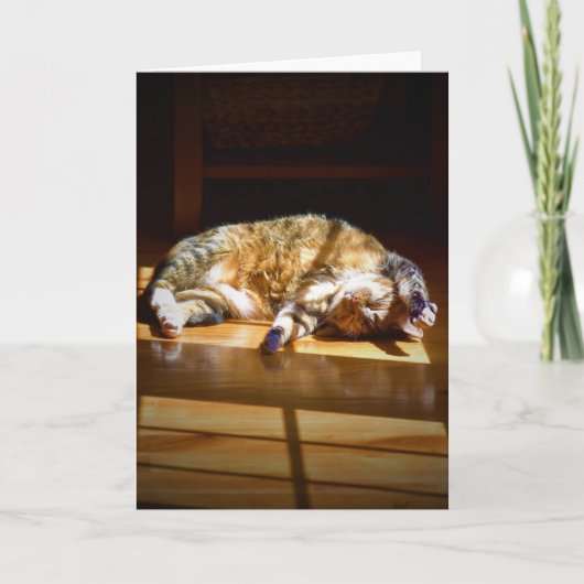 低速日、カード カード (正面)