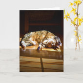 低速日、カード カード (黄色い花)