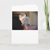 低速日、カード カード (正面)