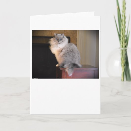 低速日、カード カード (正面)