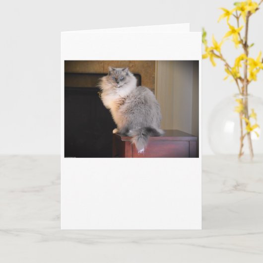 低速日、カード カード (黄色い花)