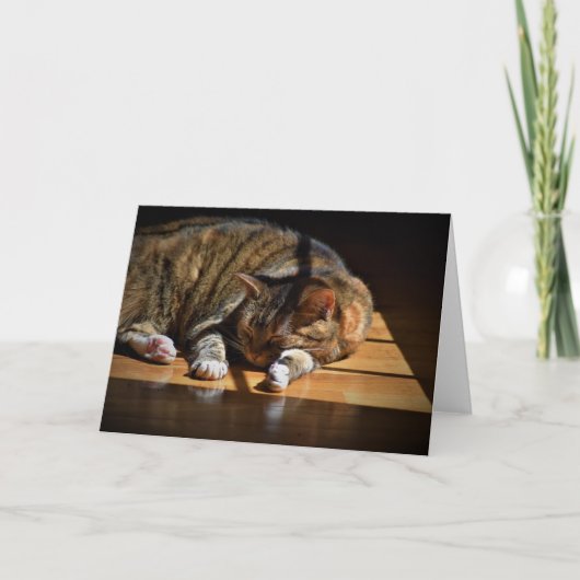 低速日、カード カード (正面)