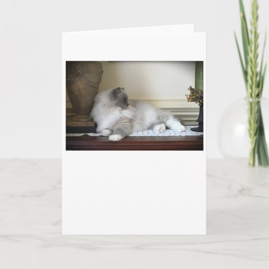 低速日、カード カード (正面)