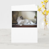 低速日、カード カード (黄色い花)