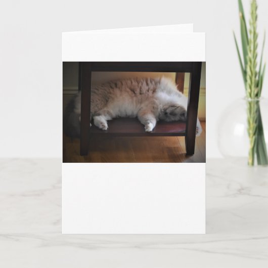 低速日、カード カード (正面)