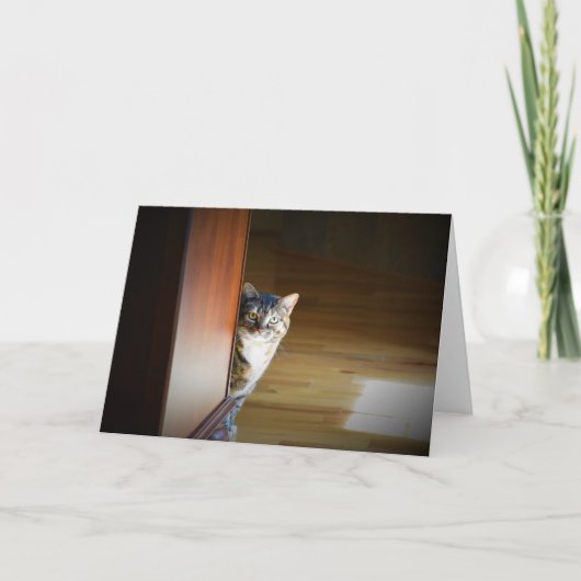 低速日、カード カード (正面)