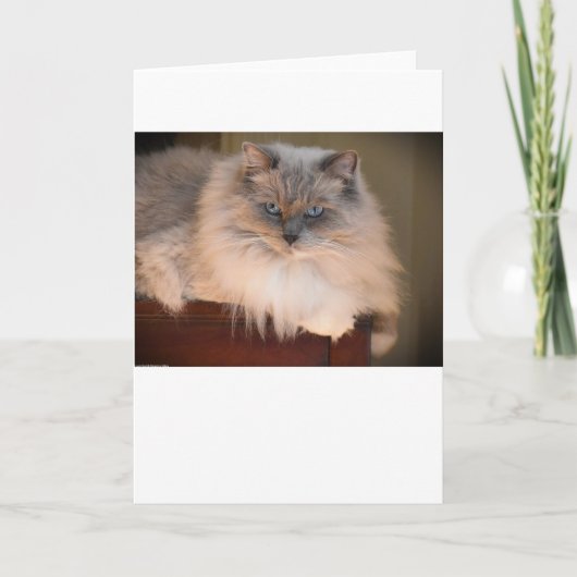 低速日、カード カード (正面)