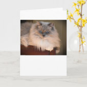 低速日、カード カード (黄色い花)