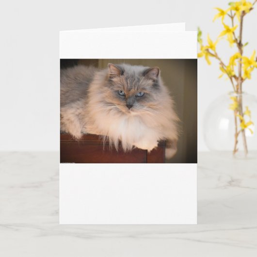 低速日、カード カード (黄色い花)