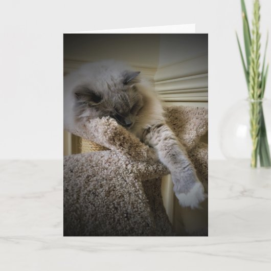 低速日、カード カード (正面)