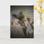 低速日、カード カード (黄色い花)