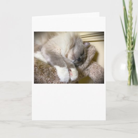 低速日、カード カード (正面)