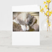 低速日、カード カード (黄色い花)